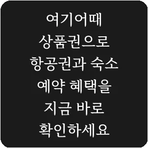 여기어때 상품권으로 항공권과 숙소 예약 혜택을 지금 바로 확인하세요