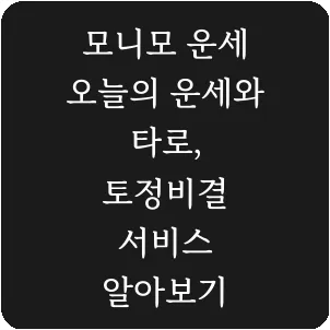 모니모 운세 오늘의 운세와 타로, 토정비결 서비스 알아보기