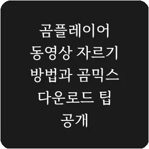 곰플레이어 동영상 자르기 방법과 곰믹스 다운로드 팁 공개