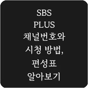 SBS PLUS 채널번호와 시청 방법, 편성표 알아보기