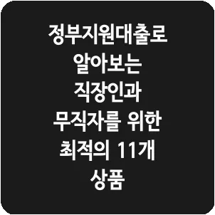 정부지원대출로 알아보는 직장인과 무직자를 위한 최적의 11개 상품