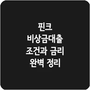 핀크 비상금대출 조건과 금리 완벽 정리