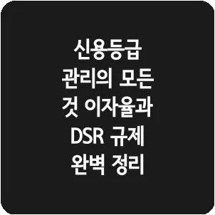 신용등급 관리의 모든 것 이자율과 DSR 규제 완벽 정리