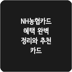 NH농협카드 혜택 완벽 정리와 추천 카드