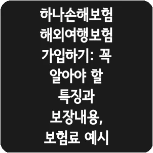 하나손해보험 해외여행보험 가입하기: 꼭 알아야 할 특징과 보장내용, 보험료 예시