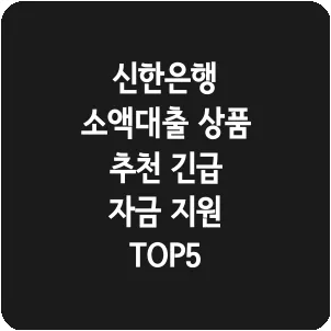 신한은행 소액대출 상품 추천 긴급 자금 지원 TOP5