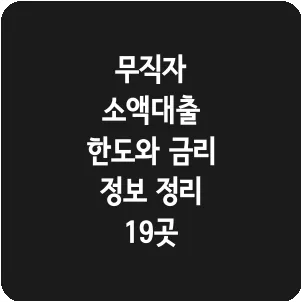 무직자 소액대출 한도와 금리 정보 정리 19곳