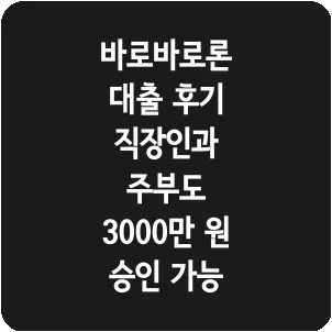바로바로론 대출 후기 직장인과 주부도 3000만 원 승인 가능