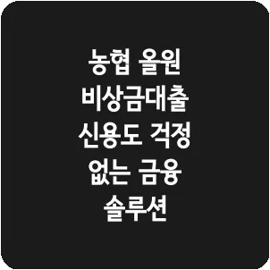 농협 올원 비상금대출 신용도 걱정 없는 금융 솔루션