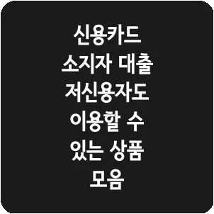 신용카드 소지자 대출 저신용자도 이용할 수 있는 상품 모음