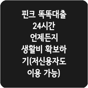 핀크 똑똑대출 24시간 언제든지 생활비 확보하기(저신용자도 이용 가능)