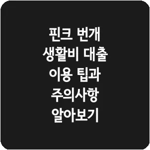 핀크 번개 생활비 대출 이용 팁과 주의사항 알아보기