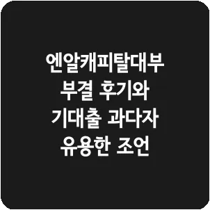 엔알캐피탈대부 부결 후기와 기대출 과다자 유용한 조언
