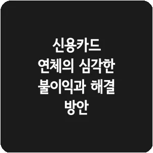 신용카드 연체의 심각한 불이익과 해결 방안