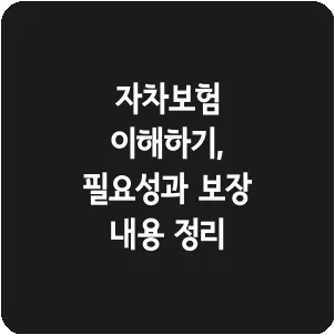 자차보험 이해하기, 필요성과 보장 내용 정리