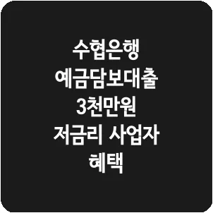 수협은행 예금담보대출 3천만원 저금리 사업자 혜택