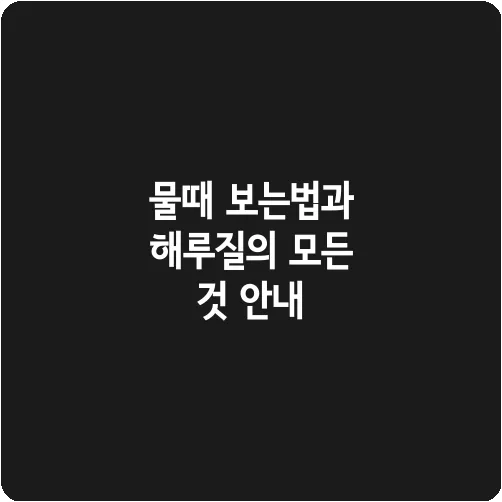 물때 보는법과 해루질의 모든 것 안내