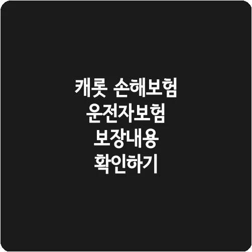 캐롯 손해보험 운전자보험 보장내용 확인하기