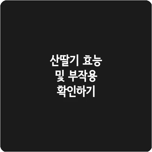 산딸기 효능 및 부작용 확인하기