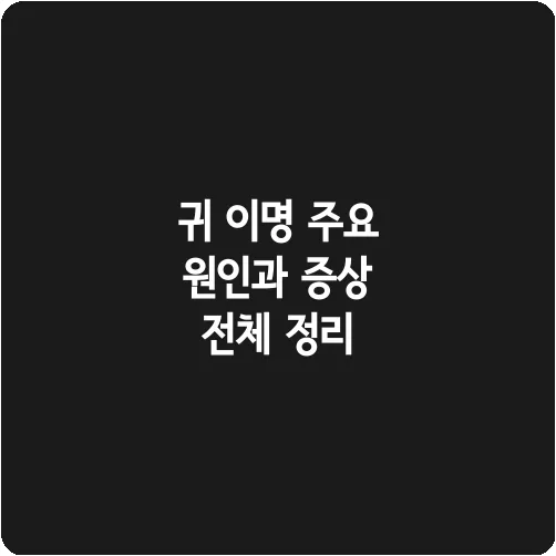 귀 이명 주요 원인과 증상 전체 정리