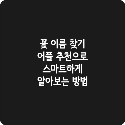 꽃 이름 찾기 어플 추천으로 스마트하게 알아보는 방법