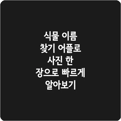 식물 이름 찾기 어플로 사진 한 장으로 빠르게 알아보기