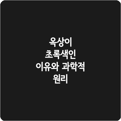 옥상이 초록색인 이유와 과학적 원리