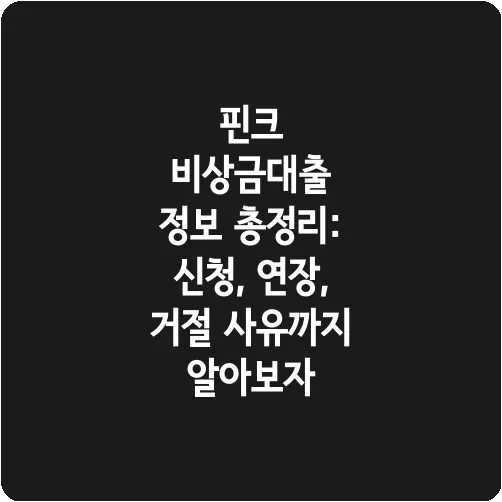 핀크 비상금대출 정보 총정리: 신청, 연장, 거절 사유까지 알아보자
