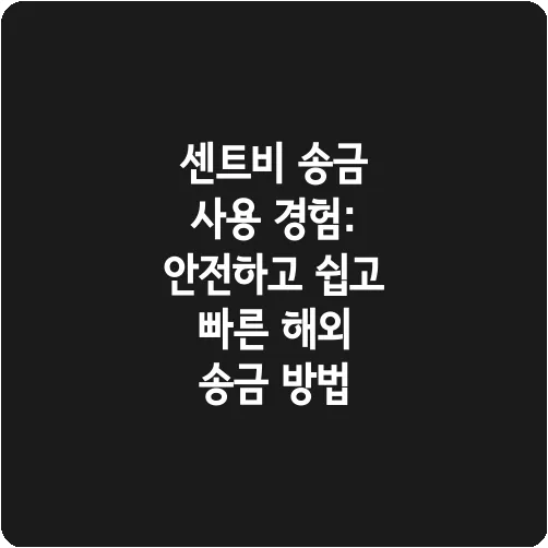 센트비 송금 사용 경험: 안전하고 쉽고 빠른 해외 송금 방법