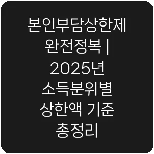 본인부담상한제 완전정복 | 2025년 소득분위별 상한액 기준 총정리