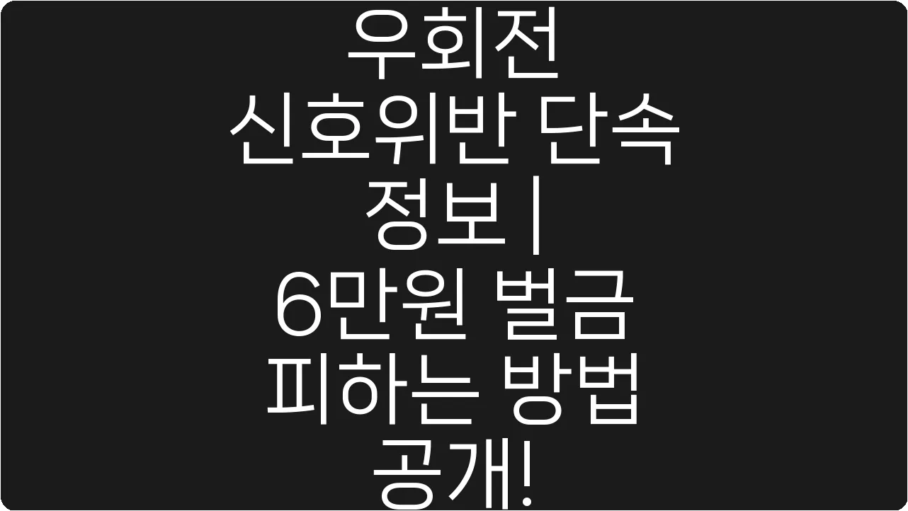 우회전 신호위반 단속 정보 | 6만원 벌금 피하는 방법 공개!