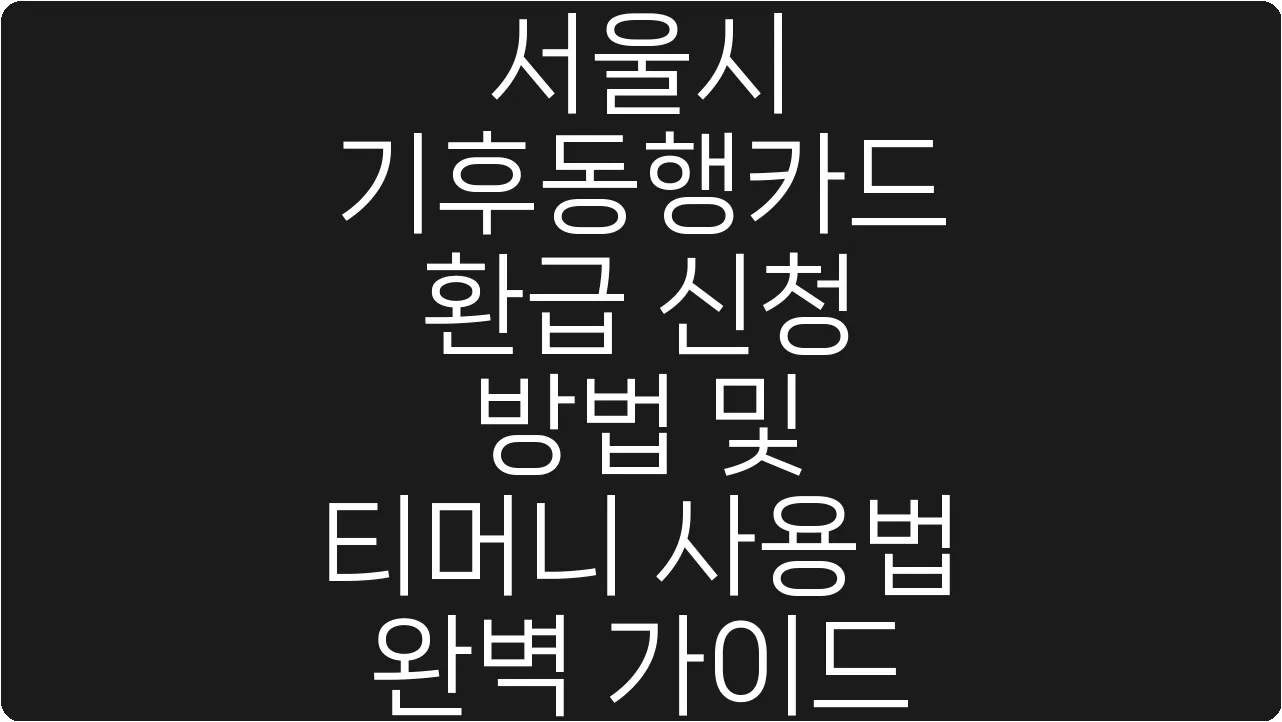 서울시 기후동행카드 환급 신청 방법 및 티머니 사용법 완벽 가이드